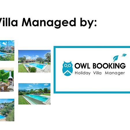 Owl Booking Villa Coloma - Luxury Retreat With Huge Pool Port de Pollença Exteriör bild
